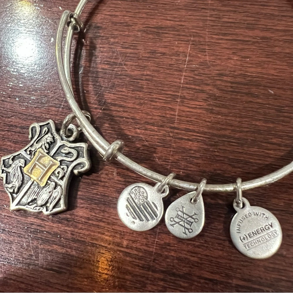 Harry Potter Alex and Ani Bangle